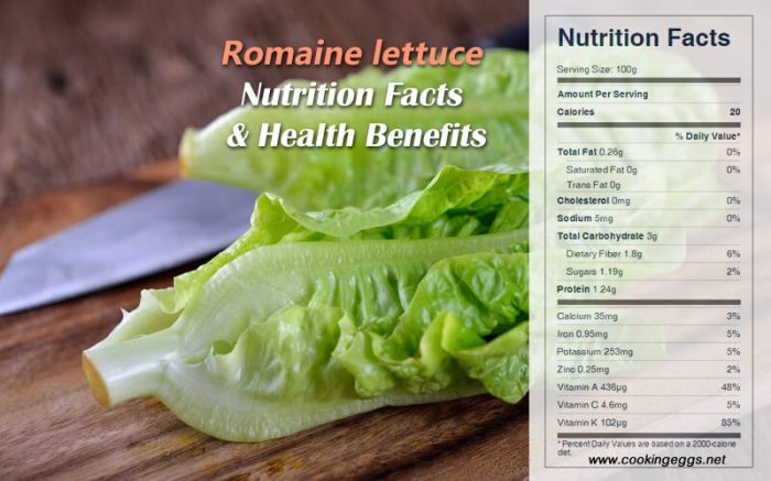 Nutrition facts on romaine lettuce