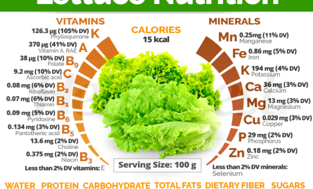 Nutrition Facts on Romaine Lettuce Your Guide