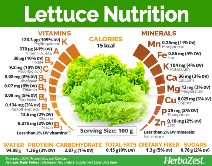 Nutrition facts on romaine lettuce